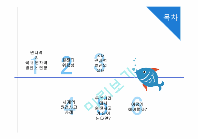 원자력 발전소 현황과 원전사고 대책방안 국내 원자력 발전소 현황 원자력 발전 실태 세계의 원전사고 사례 원전사고 대책방안기타레포트